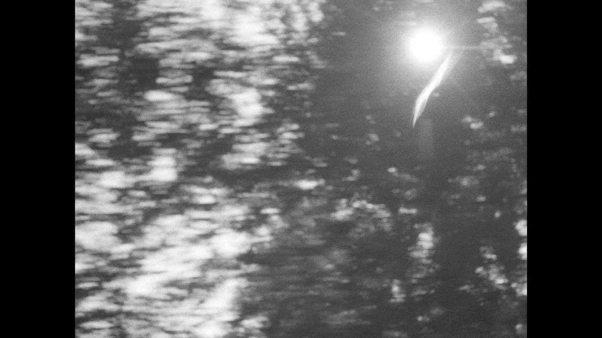 Ἔρως tweet media