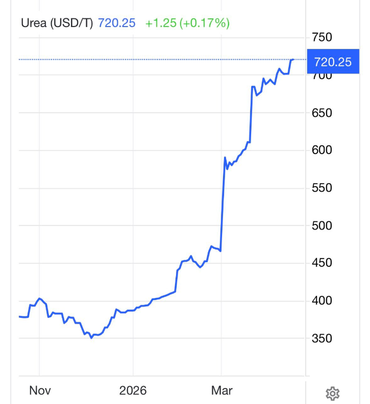 Quentin G. tweet media