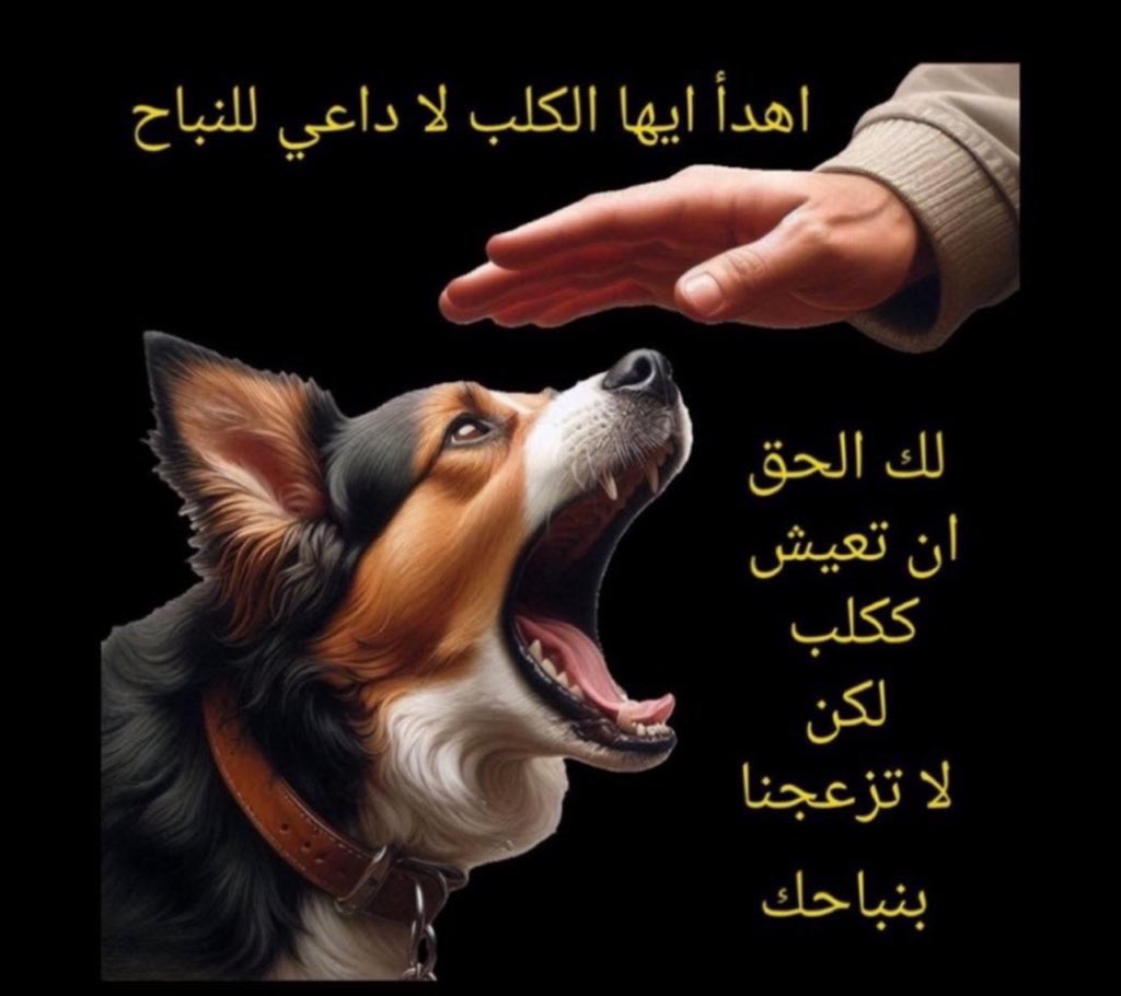 عابر سبيل tweet media