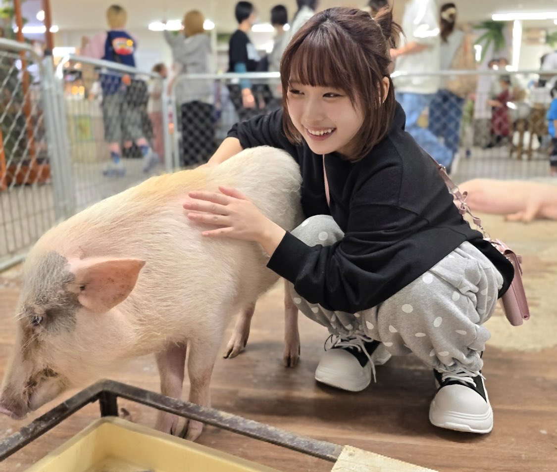 柑橘めたる tweet media