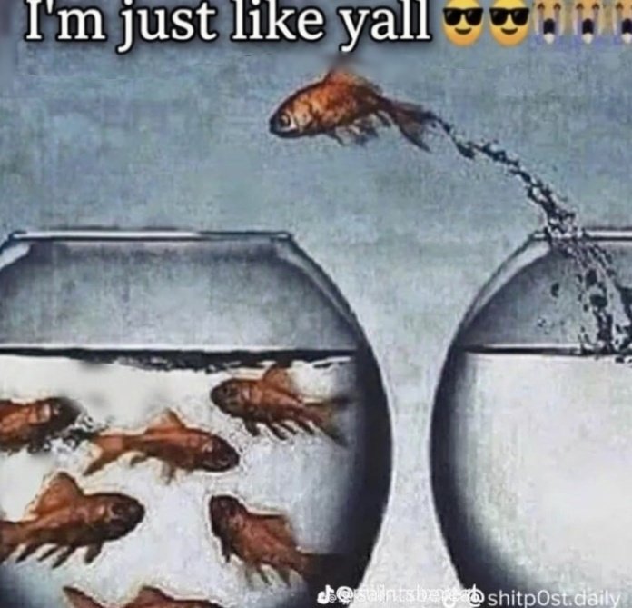 Dean Winchester of edtwt tweet media