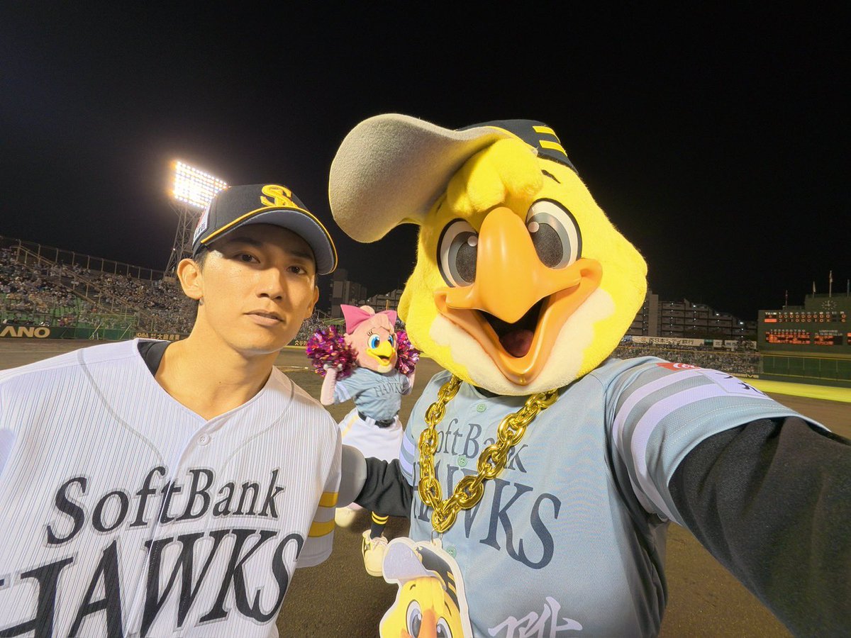 ハリーホーク（公式） tweet media