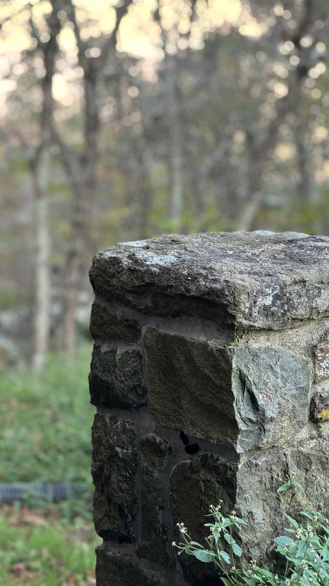 YW8_2_'s tweet image. I've been writing about the Minor Prophets over on Substack.com. These posts remind us how to find God's faithfulness in every situation—perfect for Christian women and military families with irregular schedules. wix.to/0js1AaZ #FaithInPractice