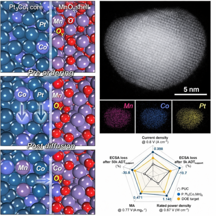 fuelcellsworks's tweet image. New platinum catalyst boosts #fuelcell efficiency and durability, tackling ORR limits and enabling better atomic control. A key step toward commercial #hydrogen vehicles. 

#HydrogenNow #CleanTech #EnergyTransition

fcw.sh/QSMWkj
