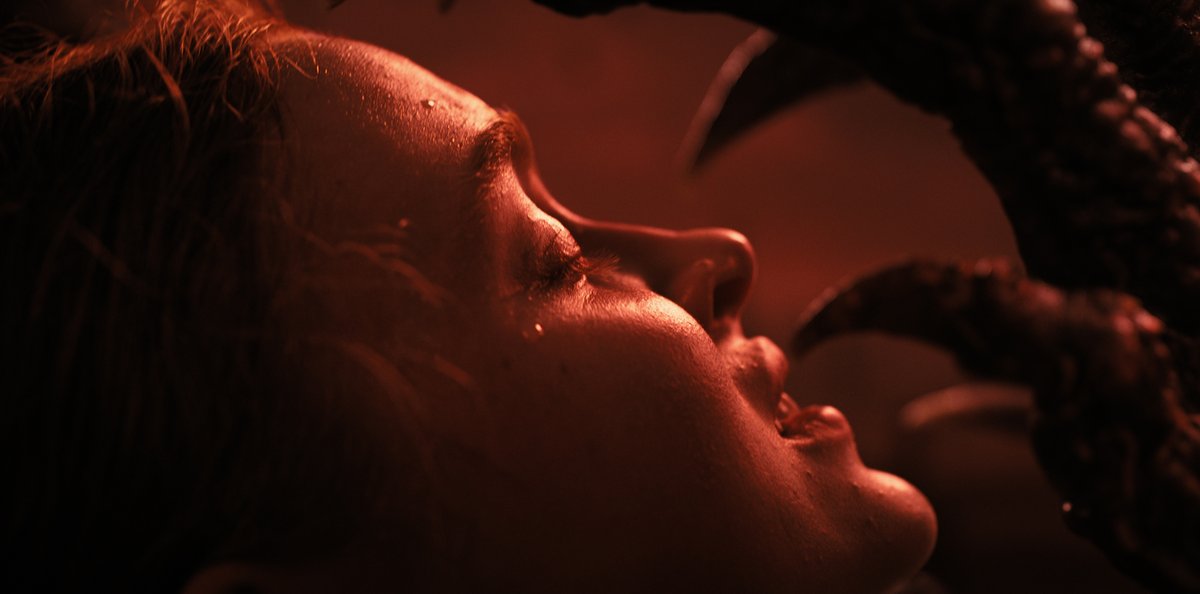 Netflix France tweet media