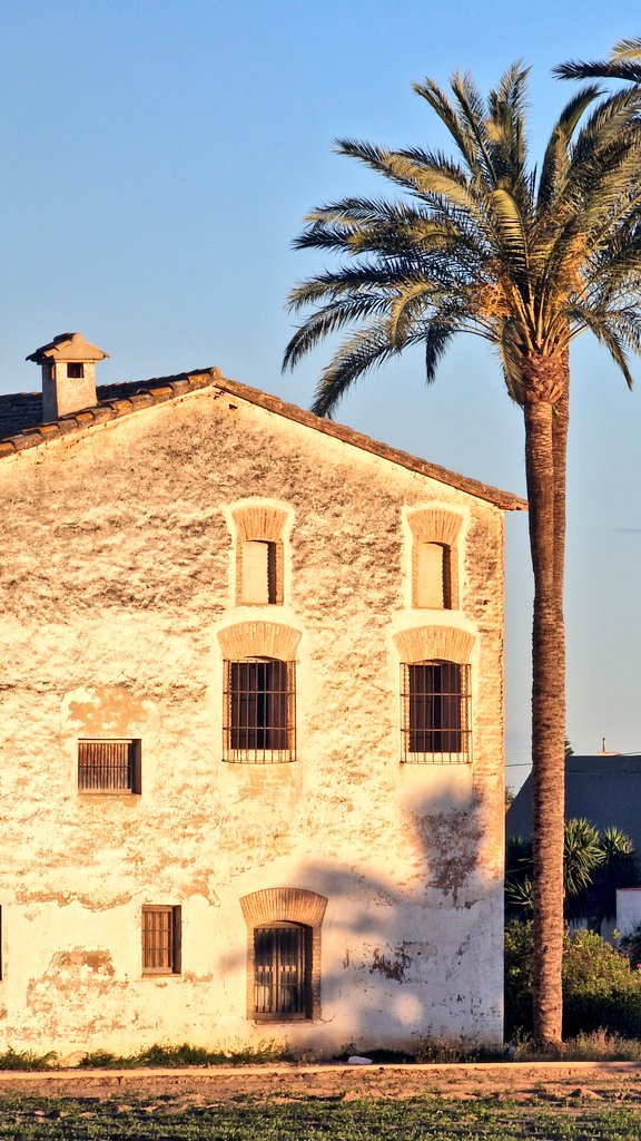 El Criticó tweet media