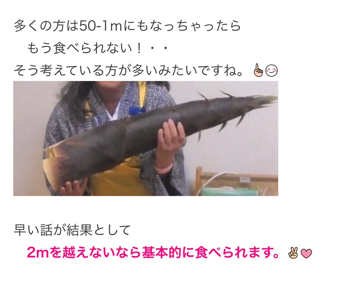 みー@大型犬ブリーダーエキゾハウスずーとぴあ中の人 tweet media