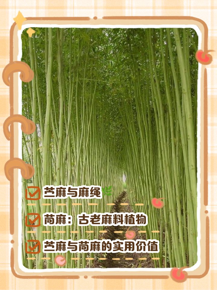 Suzanne Sires tweet media