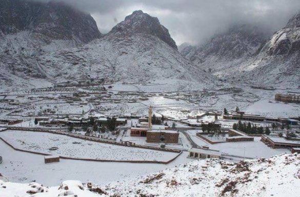 Ahmedõv tweet media