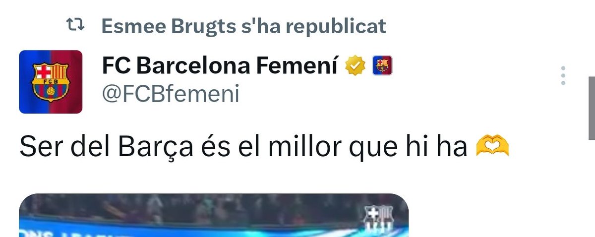 nataliona 💙❤ tweet media