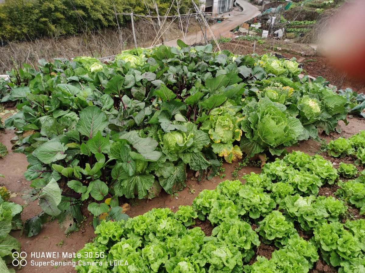 margaret james tweet media