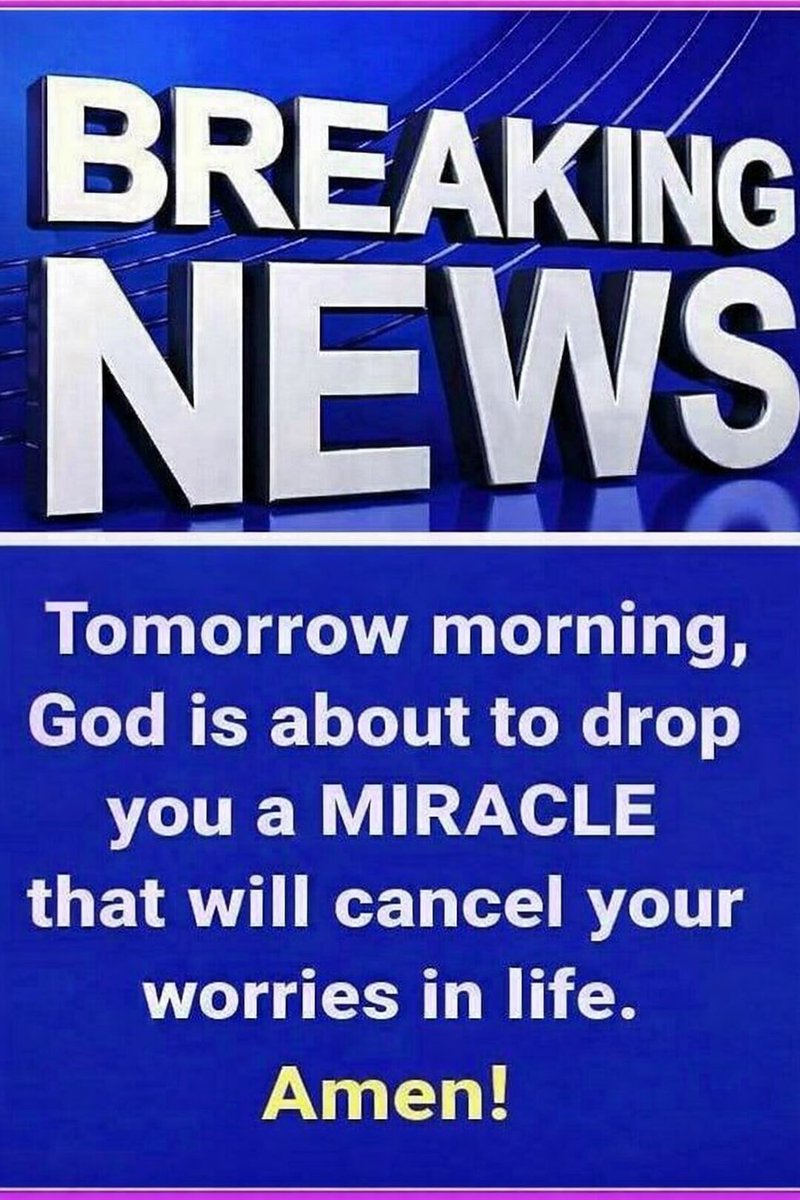 ProgressCode🌺 tweet media