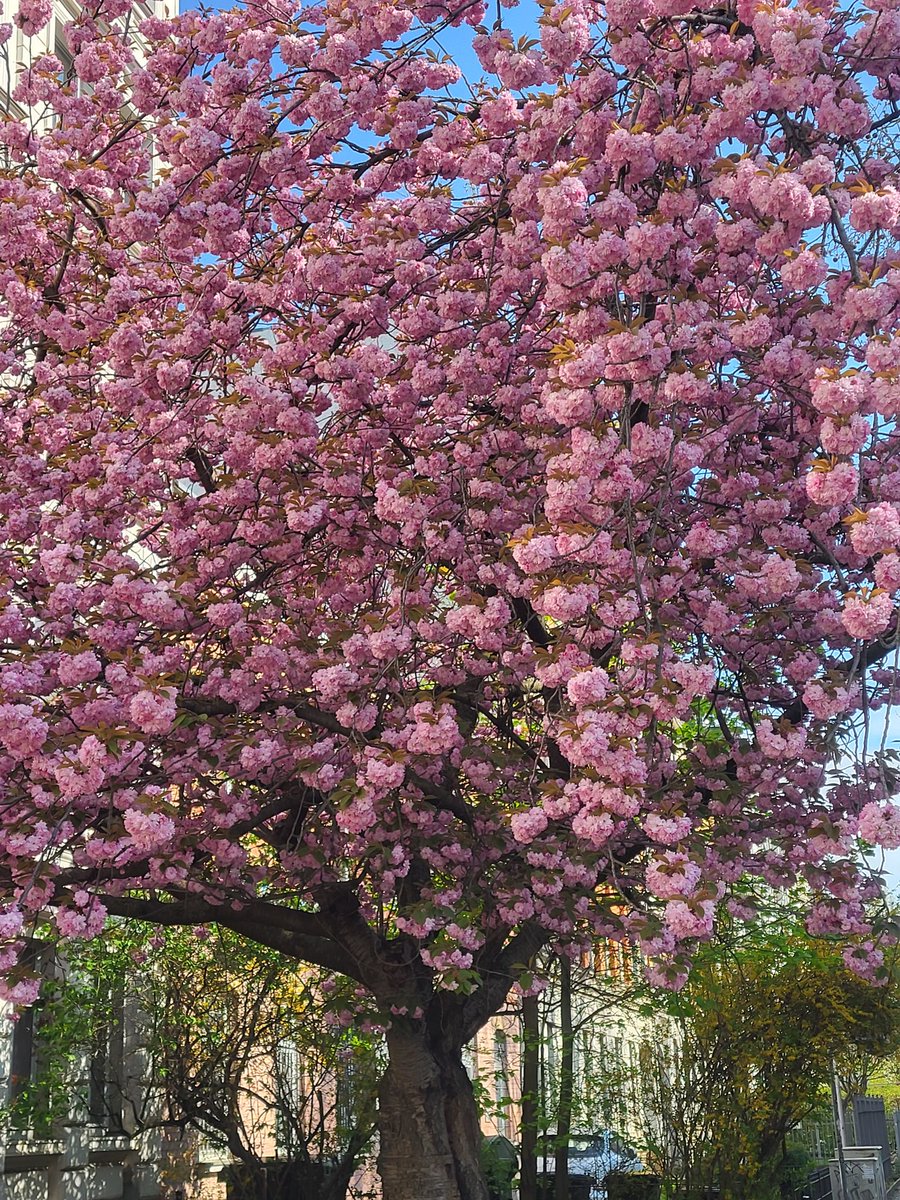 kathischleussig's tweet image. #Leipzig
 jetzt.