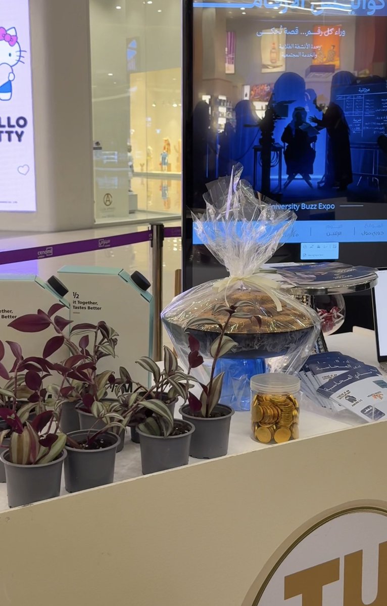 ACC | Elaf tweet media