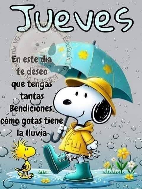 Loco x la bici Recargado tweet media