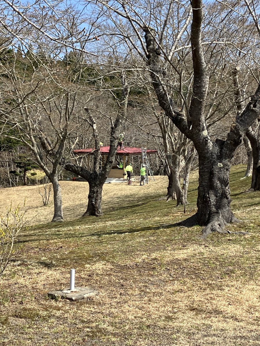 mutsu_toshi's tweet photo. 260416【早掛沼公園ボランティア塗装】
下北塗装組合によるボランティア塗装が行われました。
桜まつり開催前に、東屋や遊具などの施設を綺麗に塗装していただきました。
下北塗装組合の皆様、本当にありがとうございました！
#むつ市　#下北塗装組合
#早掛沼公園 https://t.co/L36JjAIThJ