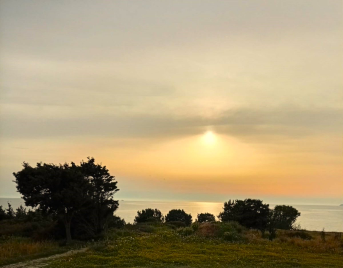 Uncovering Kos tweet media