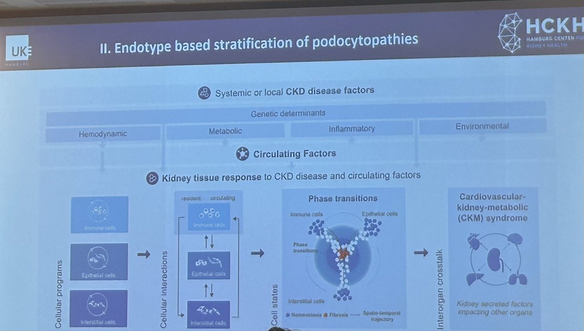 IzabelaZakrocka's tweet image. Extraordinary talk by @Tobias_B_Huber how innovative technologies are gradually changing glomerular diseases management #AntiNephrin @GlomCon #GlomConEurope @AKronbichler @ISGDtweets