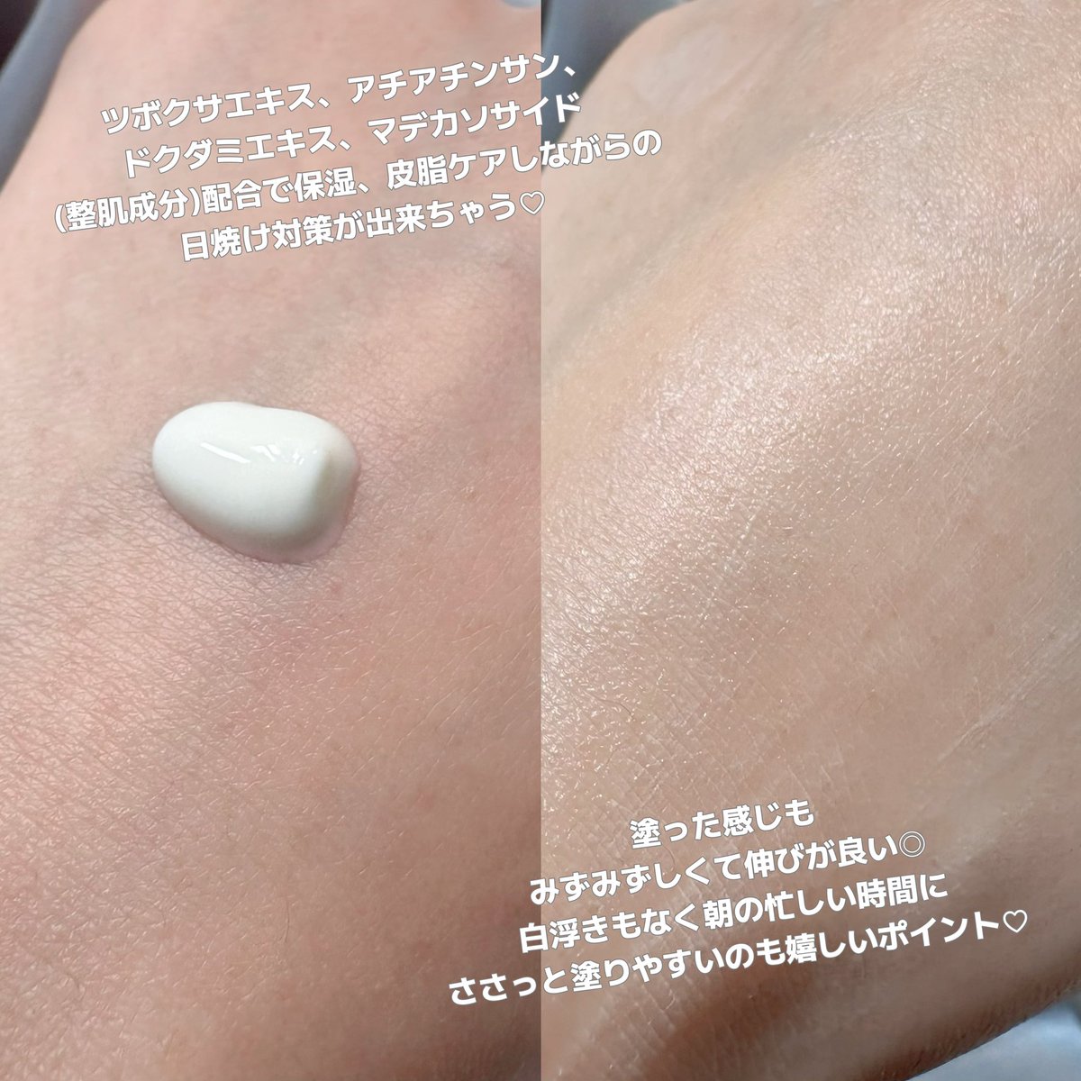 こむぎ🥪 tweet media