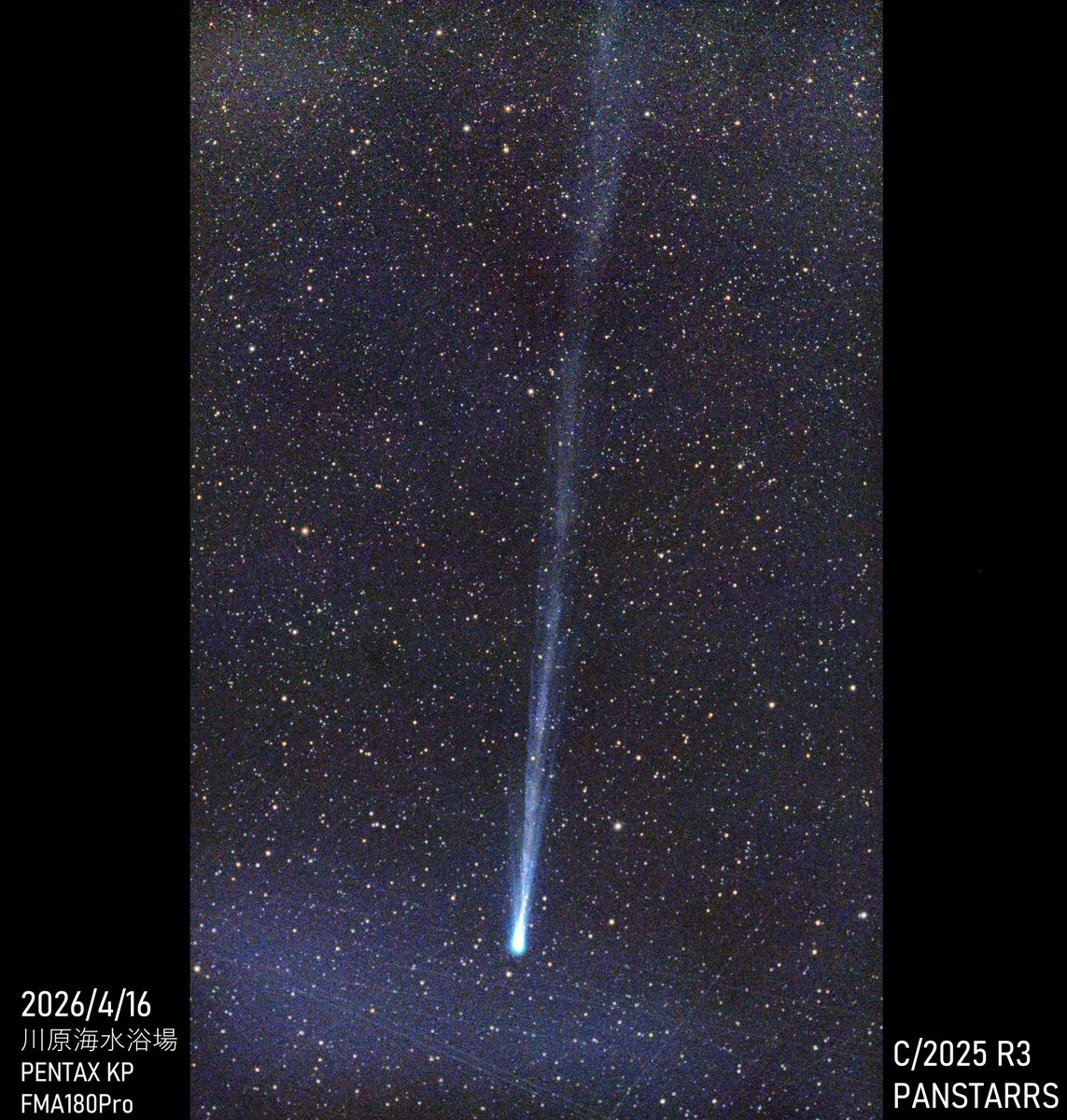MiyaRui1013's tweet photo. パンスターズ彗星（C/2025 R3）☄️明るいコマと、吹き出す数本の尾が写りました！！PENTAX KPにFMA180proの構成でしたが、尾は全く収まりませんでした。ようやく来た晴れ間で何とか撮れた嬉しい1枚です！ https://t.co/844Di8jivT