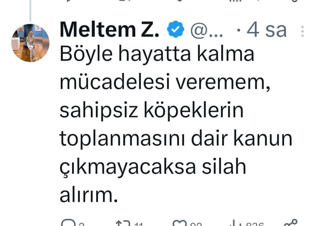 AySun tweet media