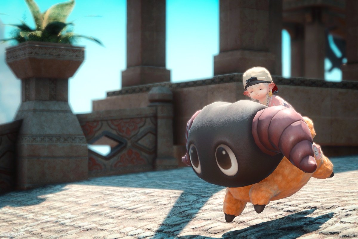 himechanへの道 tweet media