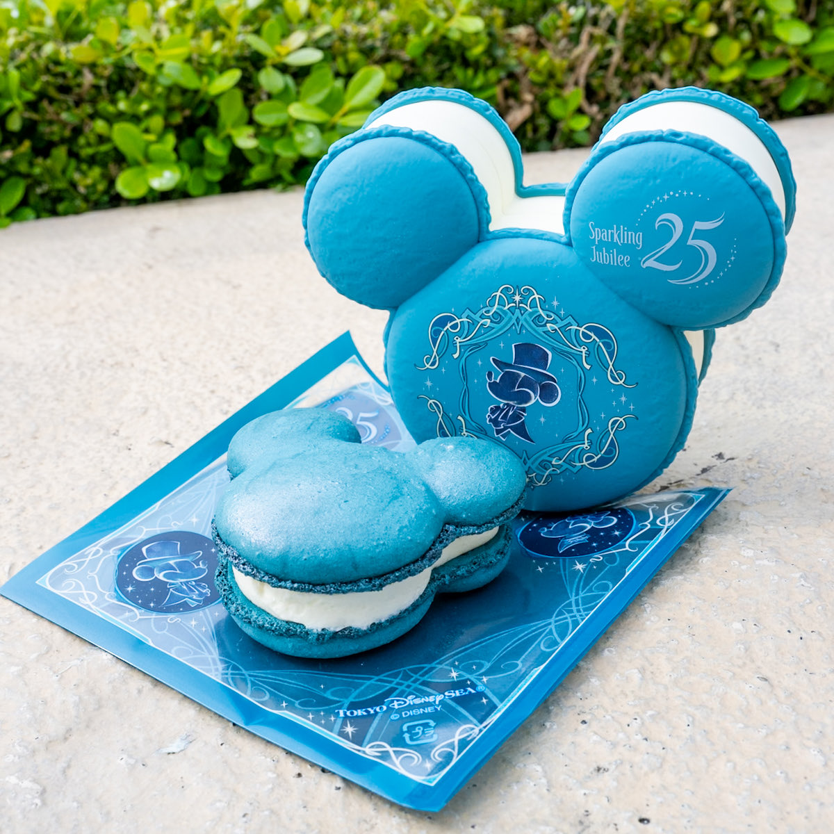 スーベニアケース付き！ 東京ディズニーシー25周年“スパークリング