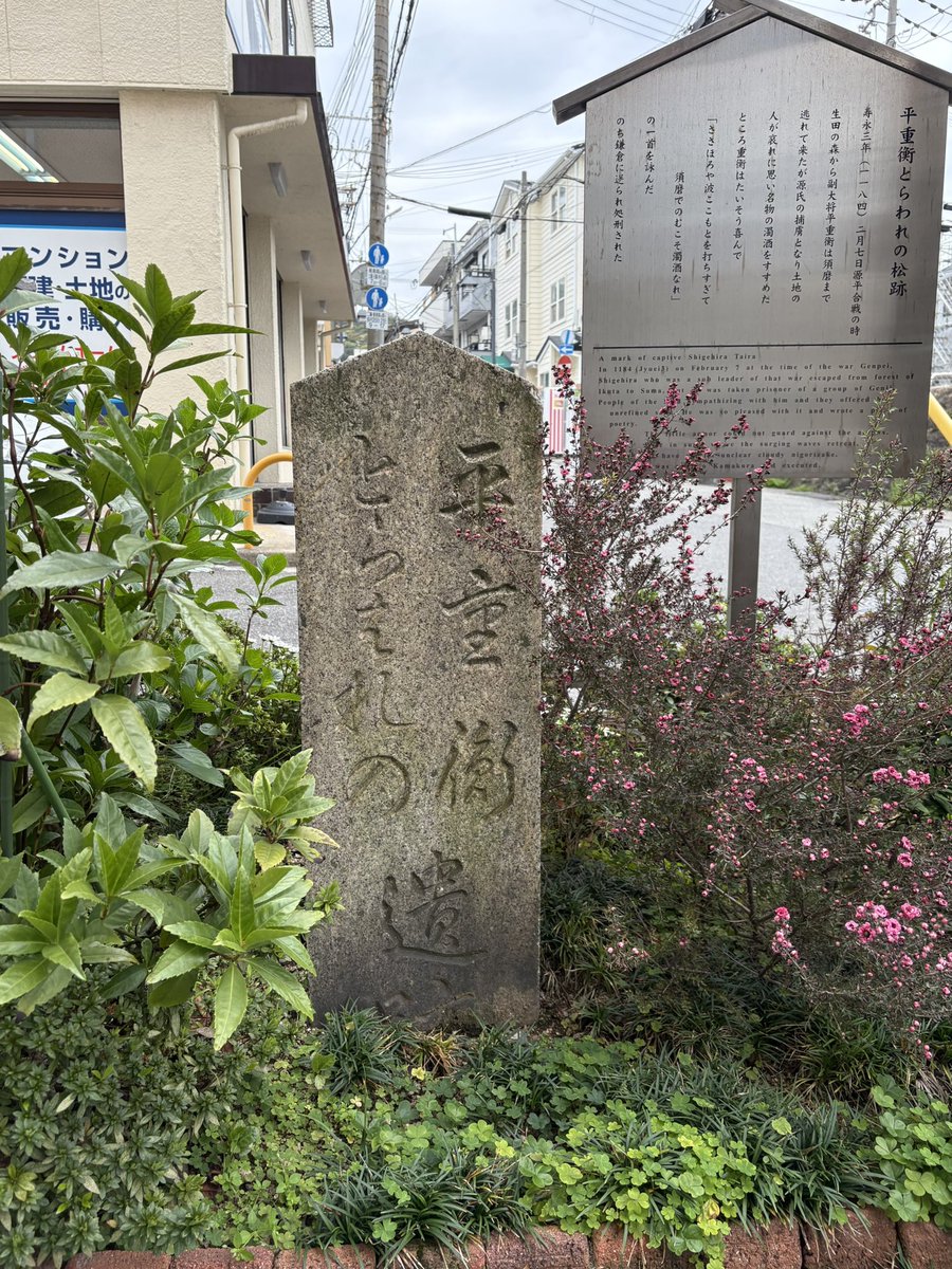 chalu1015's tweet photo. 🌸須磨寺の近くには『平重衡とらわれの松跡』がありました。かつて、そこには松の木があって、源氏に囚われた重衡が腰掛け、悔し涙を流したと伝えられています。ここで重衡が…と思うと劇中のほのかちゃんに感情移入して涙😭 https://t.co/BQ0v8Kcam9