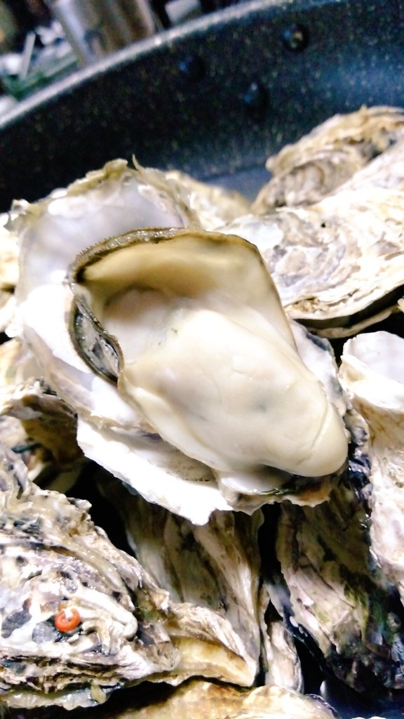 今年の初もの…
室津の牡蠣！
蒸しカキいただきます！
