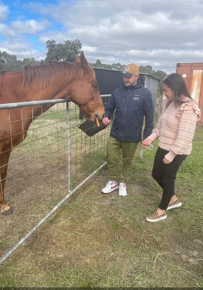 Lachlan Mosley tweet media