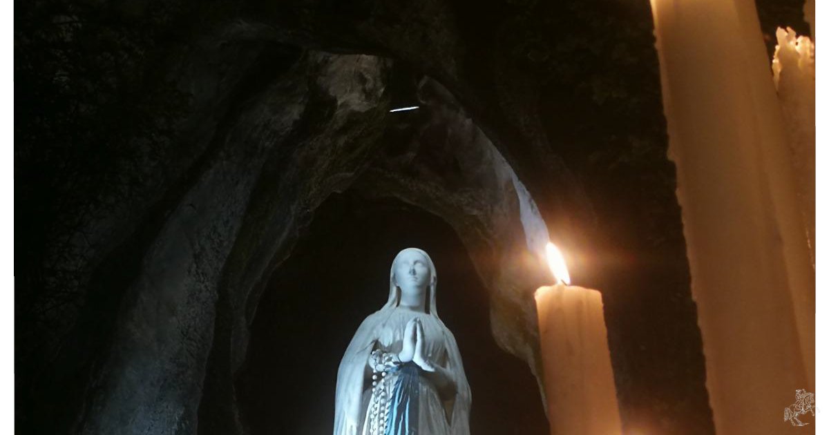 Die Tagespost tweet media