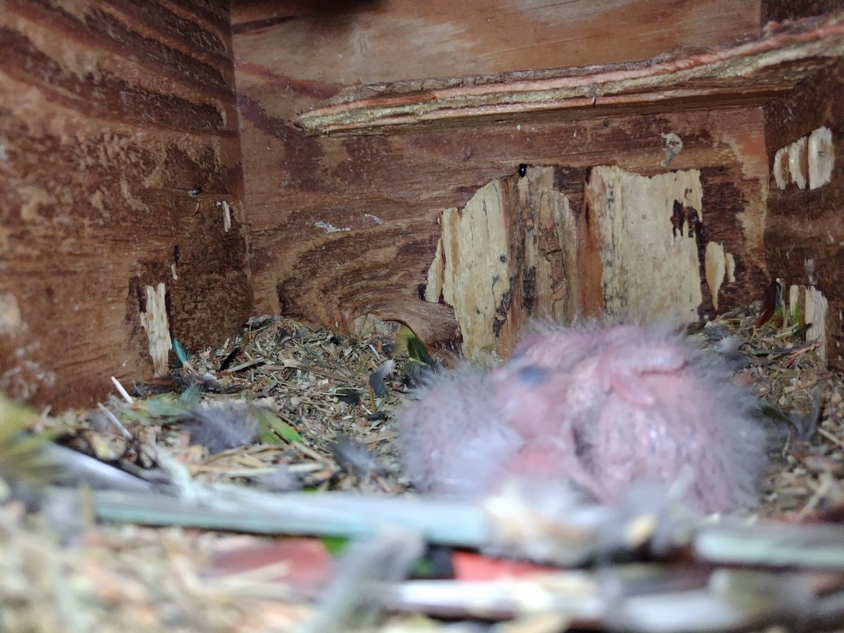 Ｊ・アシスト tweet media