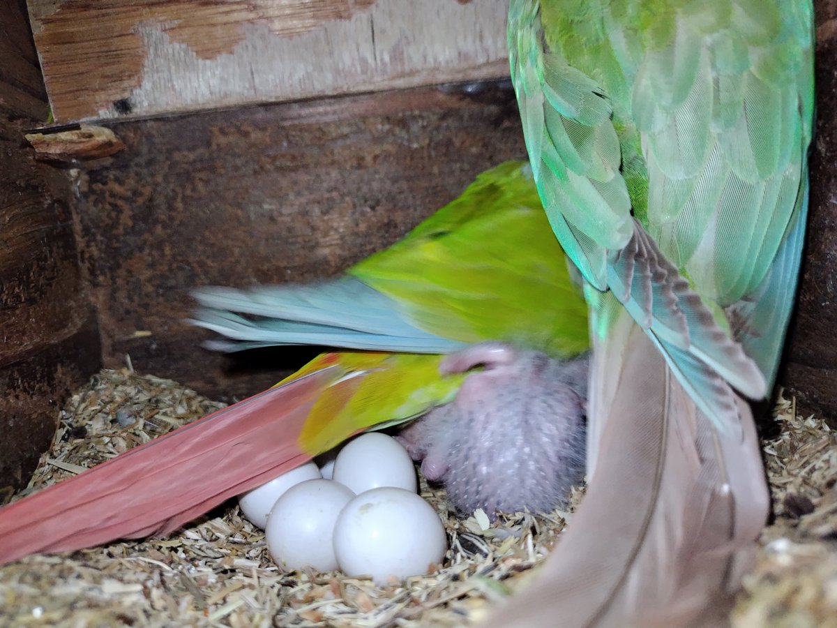 Ｊ・アシスト tweet media