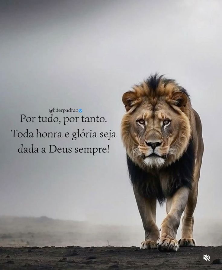 Joice Domingues tweet media