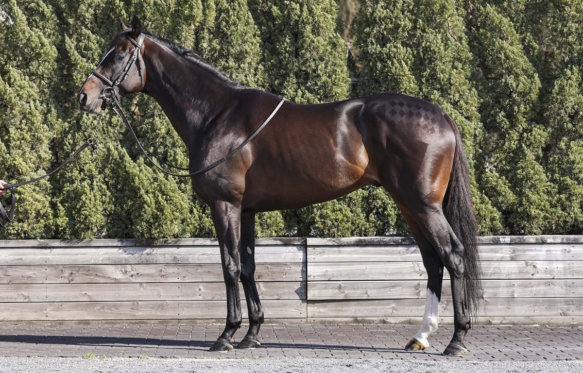 Nakayama-San tweet media