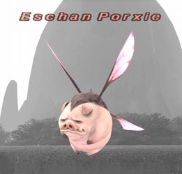 まぁ(Corazon Valiente@Valefor) tweet media