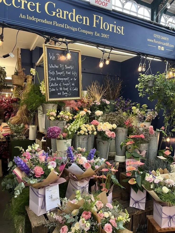 blossom library (@blossom_library) on Twitter photo 