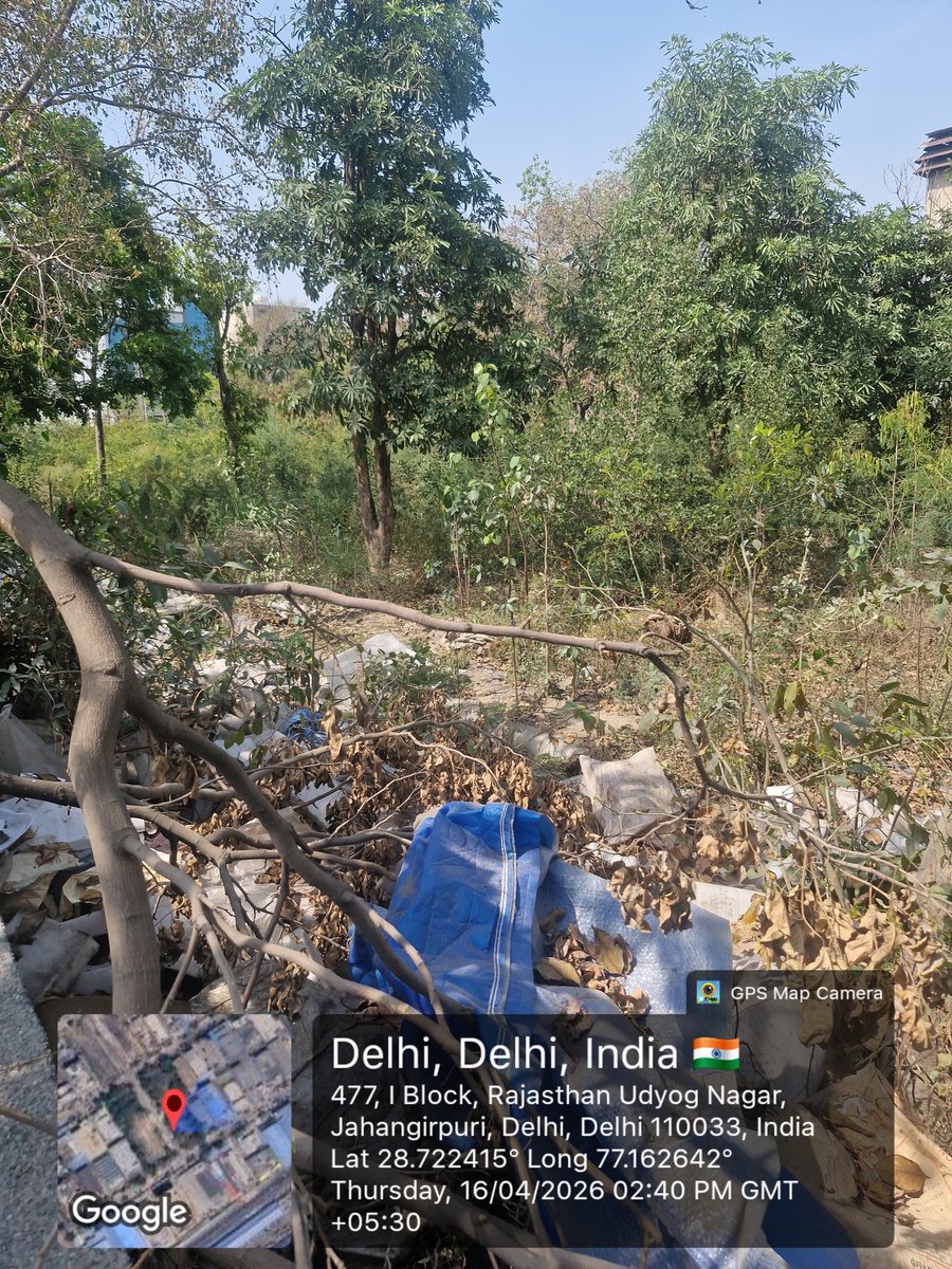 Amit_pachuli's tweet photo. A public park in Jahangirpuri, Delhi has been neglected for a long time, overgrown bushes, no maintenance, and inaccessible to public.
Requesting urgent action from authorities.

@MCD_Delhi @CMODelhi @gupta_rekha @DelhiGovDigital https://t.co/28Ca6C9Im3