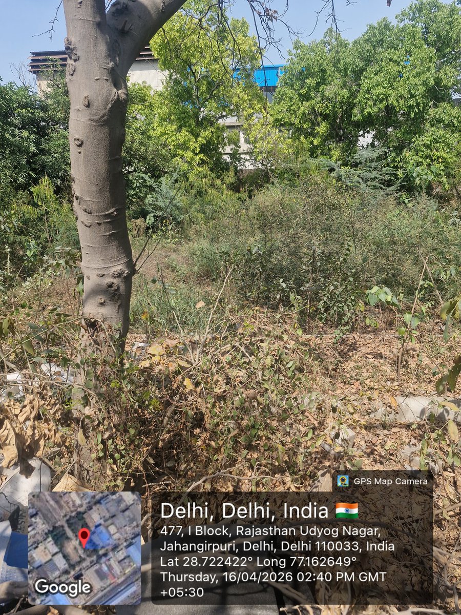 Amit_pachuli's tweet photo. A public park in Jahangirpuri, Delhi has been neglected for a long time, overgrown bushes, no maintenance, and inaccessible to public.
Requesting urgent action from authorities.

@MCD_Delhi @CMODelhi @gupta_rekha @DelhiGovDigital https://t.co/28Ca6C9Im3