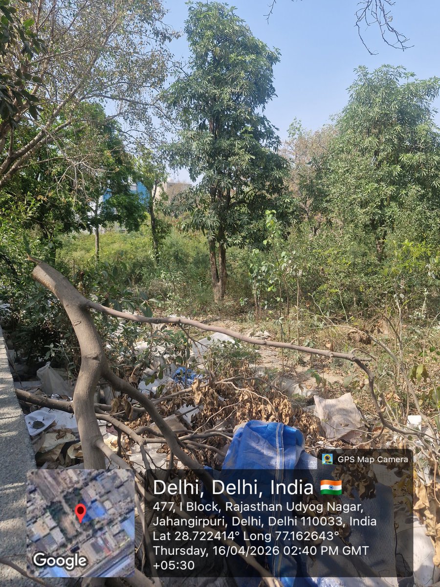 Amit_pachuli's tweet photo. A public park in Jahangirpuri, Delhi has been neglected for a long time, overgrown bushes, no maintenance, and inaccessible to public.
Requesting urgent action from authorities.

@MCD_Delhi @CMODelhi @gupta_rekha @DelhiGovDigital https://t.co/28Ca6C9Im3