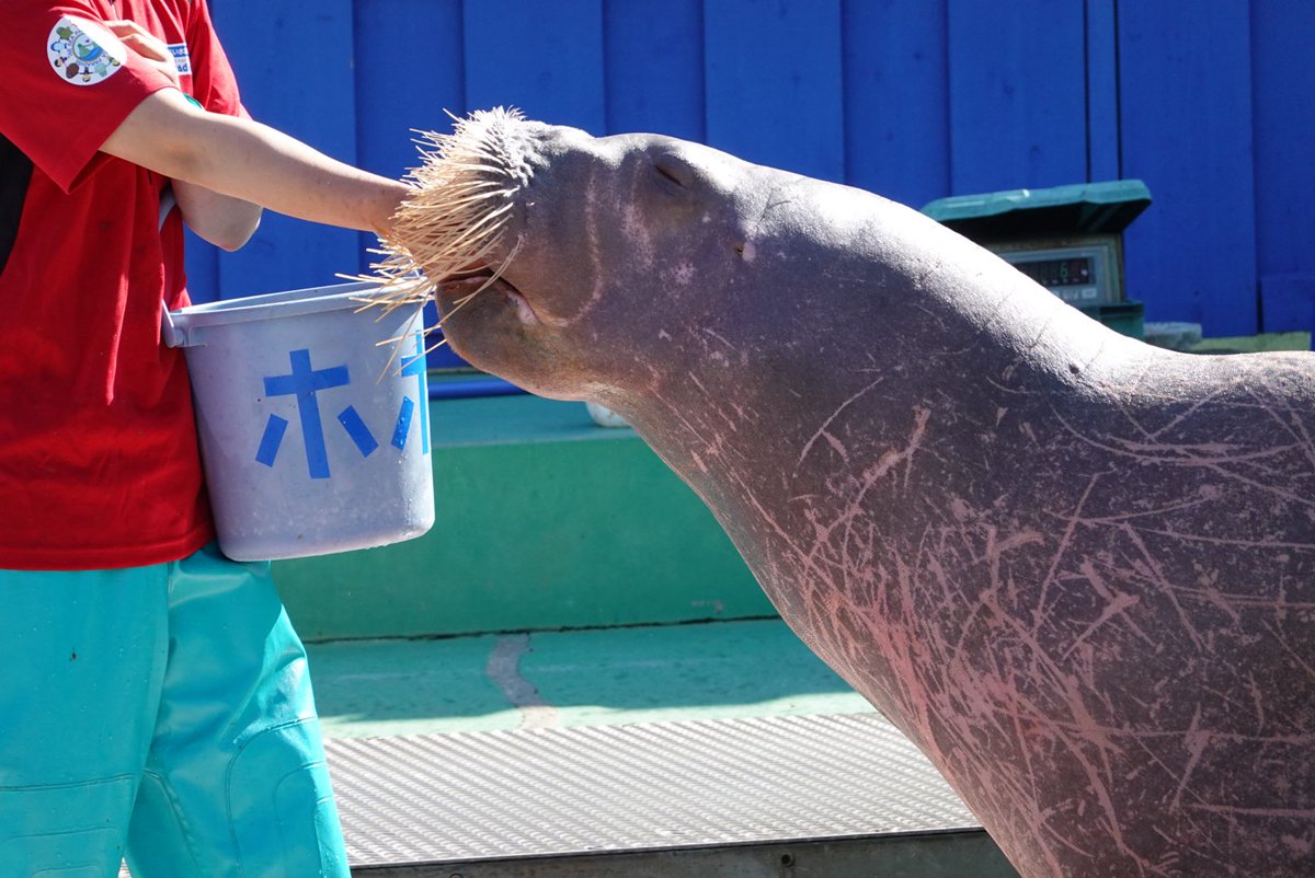 𝕒𝕟 tweet media