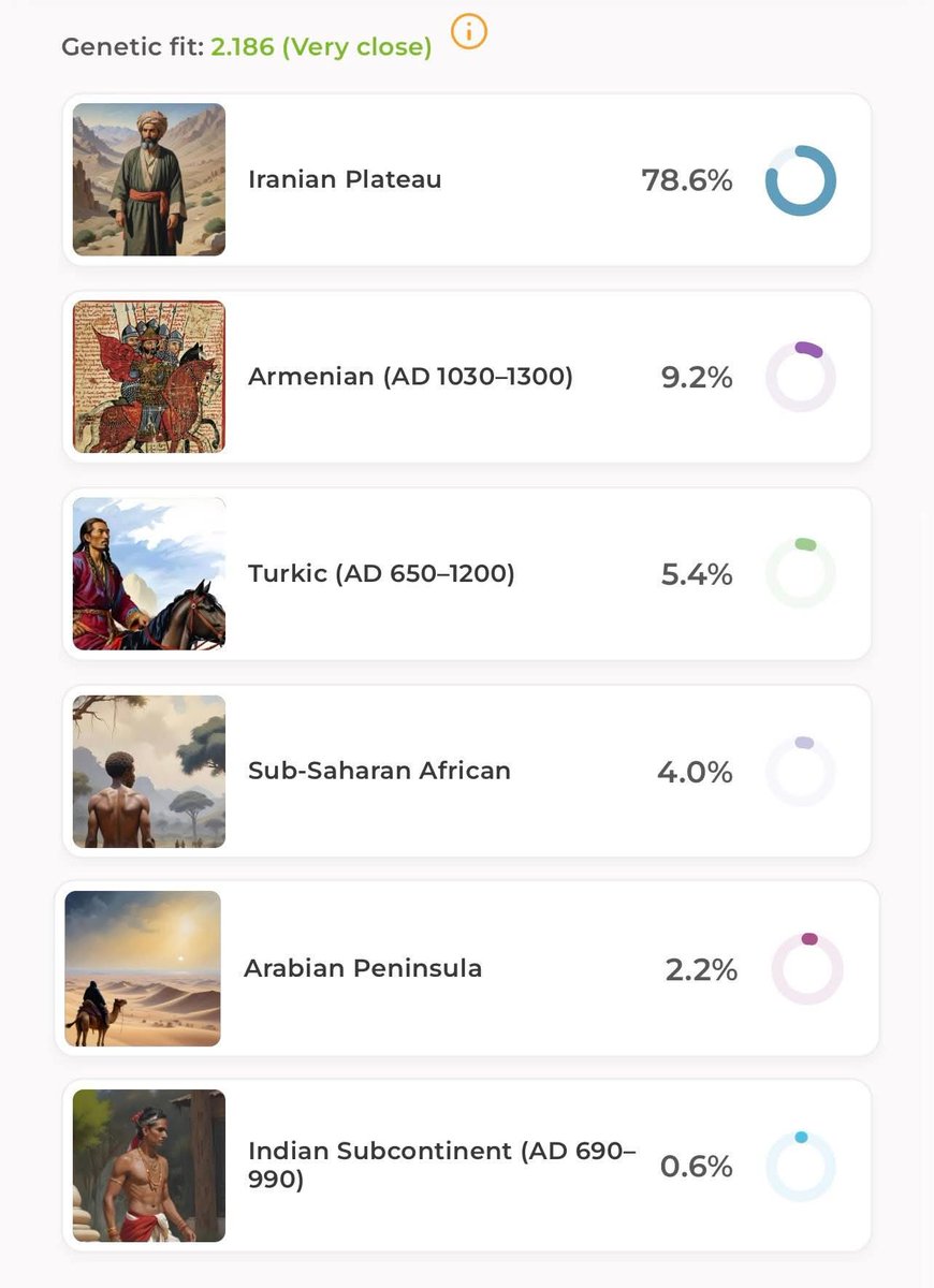 Qizilbash DNA Project tweet media