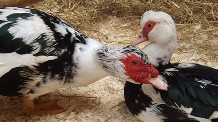 Eva Close tweet media