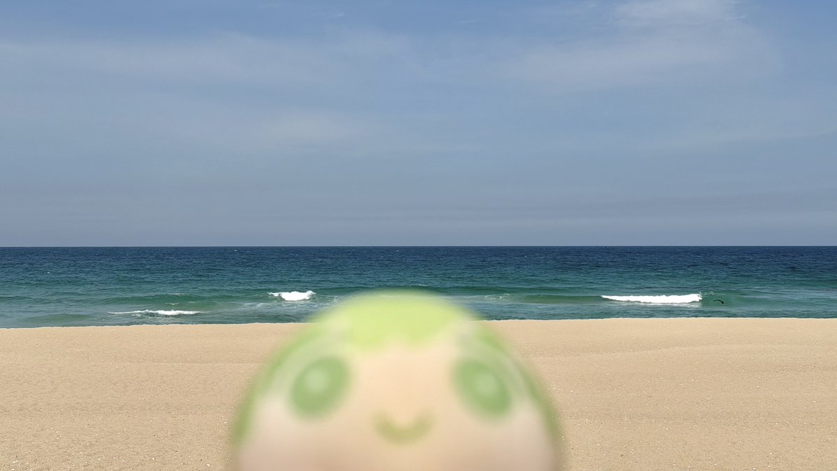 타치바나 벽돌 tweet media