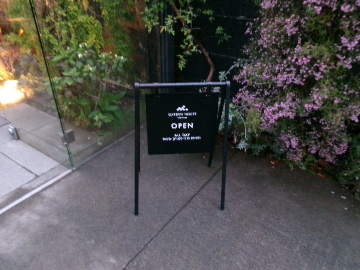 𝗆𝗈𝖼𝗈 tweet media