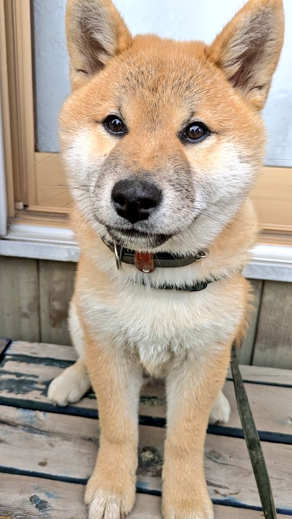 茶太郎 tweet media