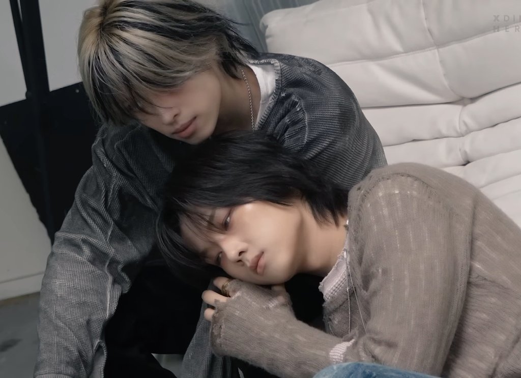 🐱🐥 tweet media