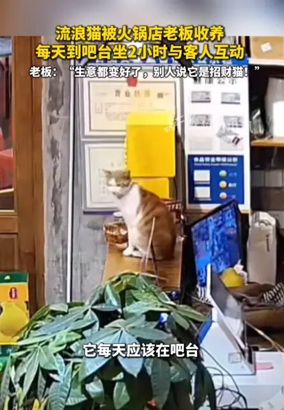 Al Gaige tweet media