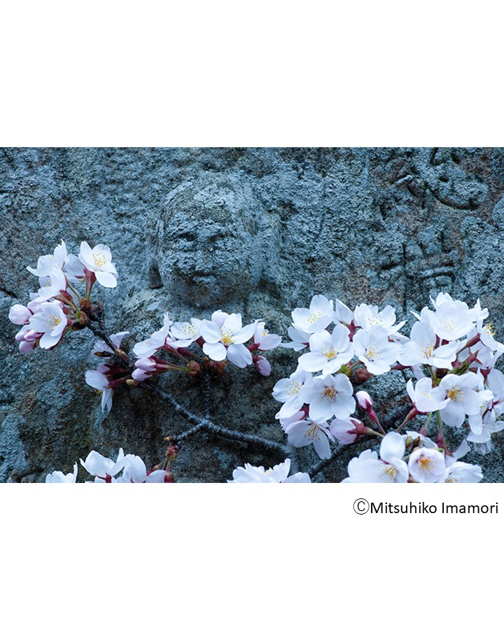 Sony Imaging Gallery tweet media