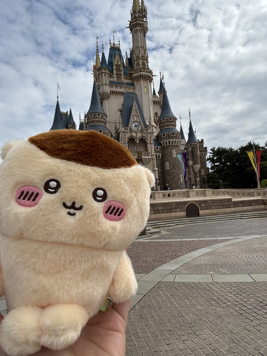 ☆yae☆ tweet media